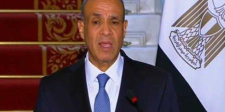 وزير الخارجية يؤكد عمق العلاقات التي تربط بين مصر وجنوب السودان - وضوح نيوز