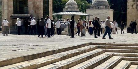عشرات المستعمرين يقتحمون المسجد الأقصى بحماية قوات الاحتلال - وضوح نيوز