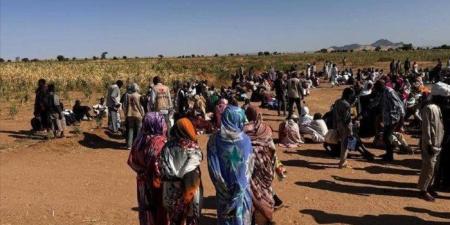 السودان تستغيث.. .نزوح 1لاف الاشخاص من الفاشر بعد استيلاء الدعم السريع على المدينة - وضوح نيوز