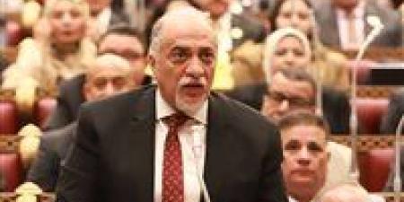 رئيس تضامن الشيوخ لـ تحيا مصر: عقد اجتماع غدا بحضور وزيري الخارجية والشئون النيابية لمتابعة الجهود الدبلوماسية في ملف حقوق الإنسان - وضوح نيوز