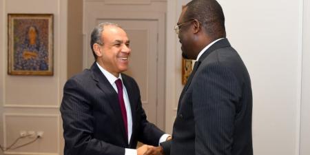 وزير الخارجية يؤكد دعم مصر لتعزيز منظومة الصحة والأمن الدوائي في أفريقيا - وضوح نيوز