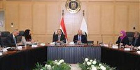 وزيرا الصناعة وقطاع الأعمال يبحثان مع مصنعي الغزل والنسيج والملابس الجاهزة تعميق التصنيع المحلي - وضوح نيوز