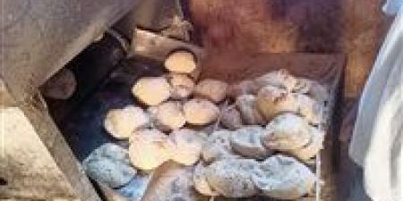 متحدث الحكومة: نصيب الفرد لا يزال ثابتاً عند 150 رغيف - وضوح نيوز