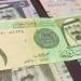 افتتح سعر صرف الريال السعودى بداية العام على استقرار ملحوظ فى البنوك المصرية - وضوح نيوز