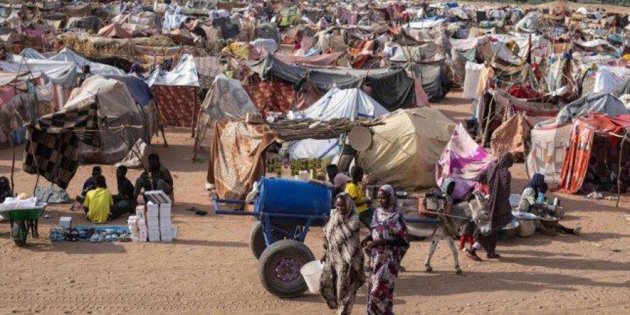 الولايات المتحدة تعمل مع بلدان عربية "وشركاء آخرين" من أجل هدنة إنسانية في السودان - وضوح نيوز