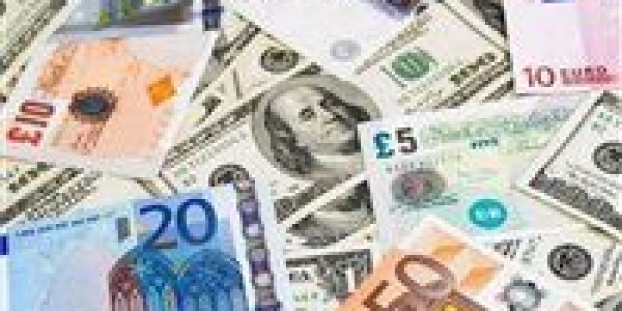 أسعار العملات العربية مقابل الجنيه اليوم الأحد 14-12-2025 - وضوح نيوز