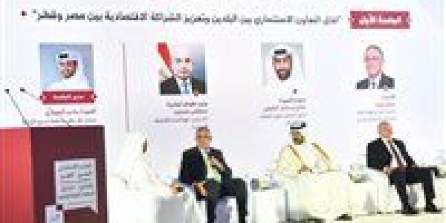 الهيئة العامة للاستثمار: المنتدى الاستثماري المصري القطري يؤكد عمق الشراكة الاقتصادية بين البلدين - وضوح نيوز