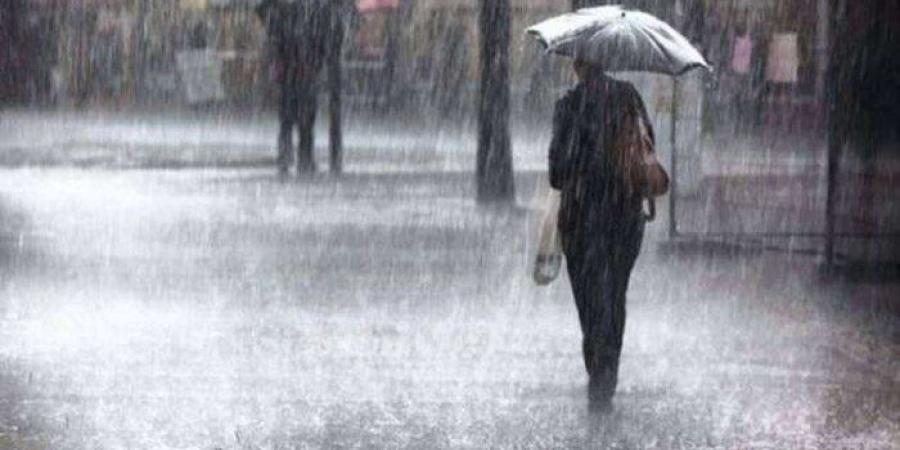 حالة الطقس الآن في القاهرة والمحافظات.. أمطار وشبورة وانخفاض درجة الحرارة - وضوح نيوز