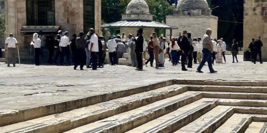 عشرات المستعمرين يقتحمون المسجد الأقصى المبارك بحماية قوات الاحتلال - وضوح نيوز