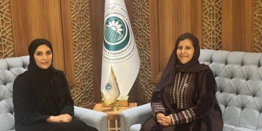 مساعد وزير الخارجية ل(حقوق الإنسان) تبحث مع رئيس (حقوق الإنسان) بقطر سبل التعاون المشترك - وضوح نيوز