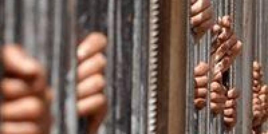 الاقتصادية تؤجل نظر استئناف عفاف شعيب في دعوى التعويض ضد محمد سامي - وضوح نيوز