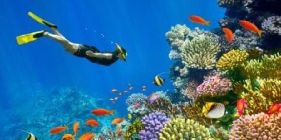 تعرف على الإجراءات الجديدة بشأن الضريبة العقارية على المنتجعات والقرى السياحية والكمبوندات - وضوح نيوز