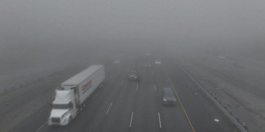 ضباب سام يخنق كاليفورنيا.. ظاهرة موسمية تتحول إلى أزمة صحية وبيئية - وضوح نيوز