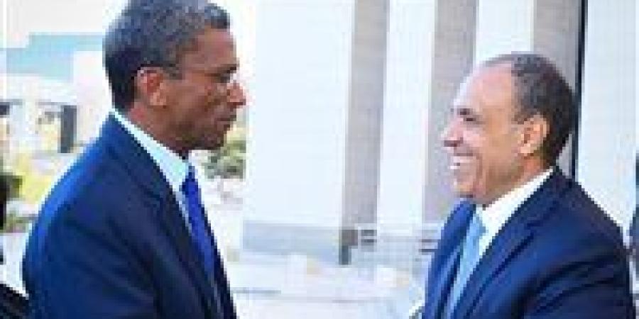 وزير الخارجية: نتطلع للتعاون مع الجانب السيشيلي لتيسير نفاذ الدواء المصري - وضوح نيوز