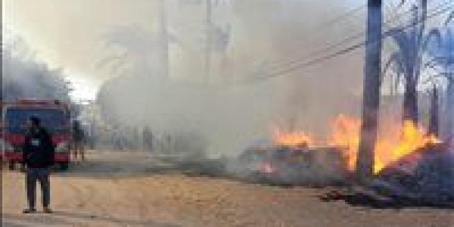 البوص بقي رماد.. حريق با أشجار النخيل والبوص بسوهاج - وضوح نيوز