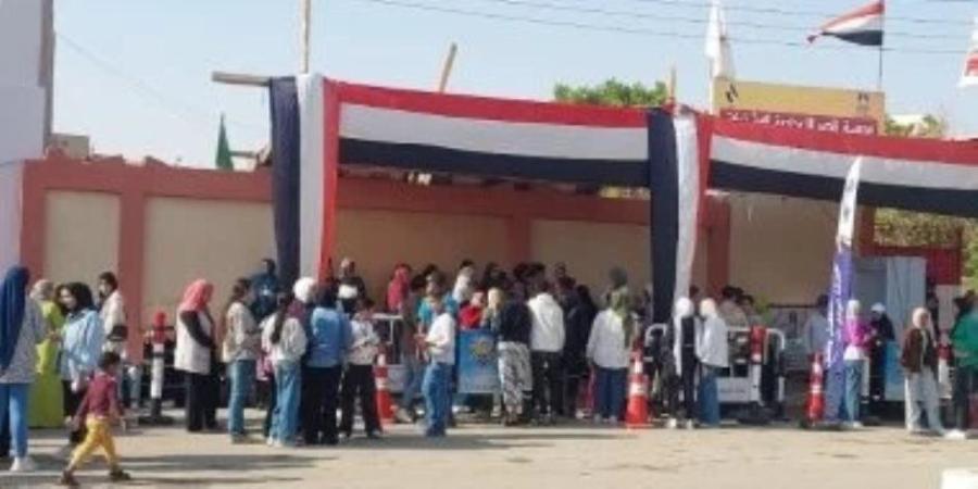 الوطنية للانتخابات تتواصل مع رؤساء لجان متابعة انتخابات النواب فى المحافظات - وضوح نيوز