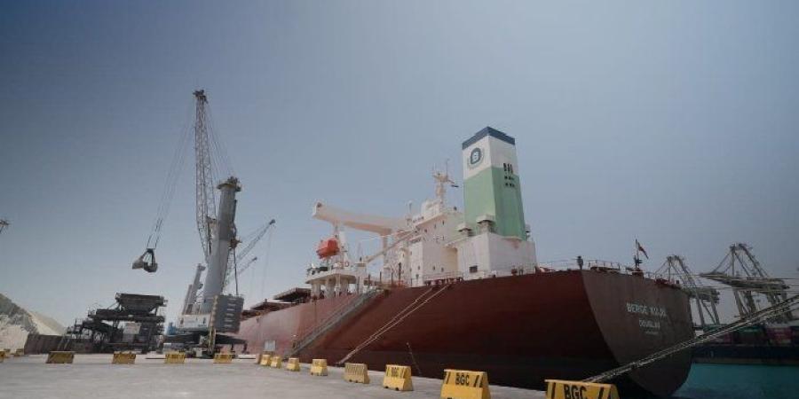 تداول 26 ألف طن و1359 شاحنة بضائع متنوعة بموانئ البحر الأحمر - وضوح نيوز