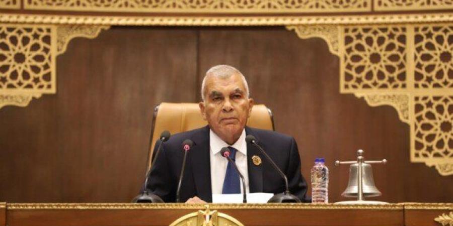 مجلس الشيوخ يناقش تشديد عقوبات سرقة الكهرباء وحماية أموال الدولة - وضوح نيوز