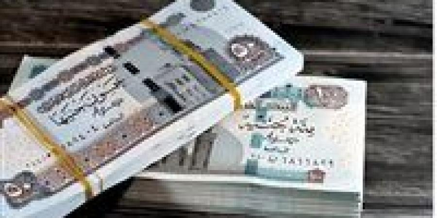 مواعيد مرتبات شهر ديسمبر 2025.. ننشر الجدول الزمني - وضوح نيوز