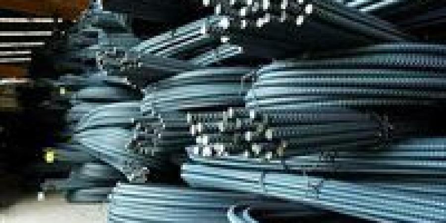 سعر الحديد اليوم السبت 20 ديسمبر 2025 في مصر.. الطن للمستهلك يصل إلى 41 ألف جنيه - وضوح نيوز