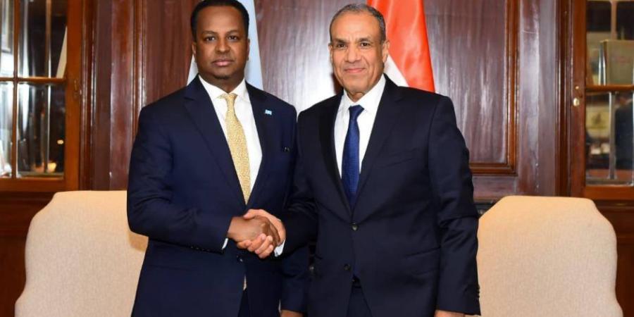 مباحثات مصرية - صومالية حول سبل تعزيز الشراكة ودعم الأمن والاستقرار - وضوح نيوز
