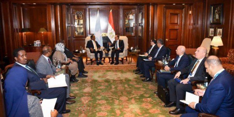 مباحثات مصرية - صومالية حول سبل تعزيز الشراكة ودعم الأمن والاستقرار (التفاصيل الكاملة) - وضوح نيوز