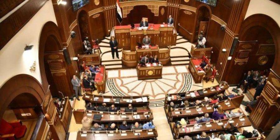 مصر.. مجلس الشيوخ يقر نهائيًا تعديلات قانون الكهرباء ويشدد العقوبات على سرقة التيار - وضوح نيوز
