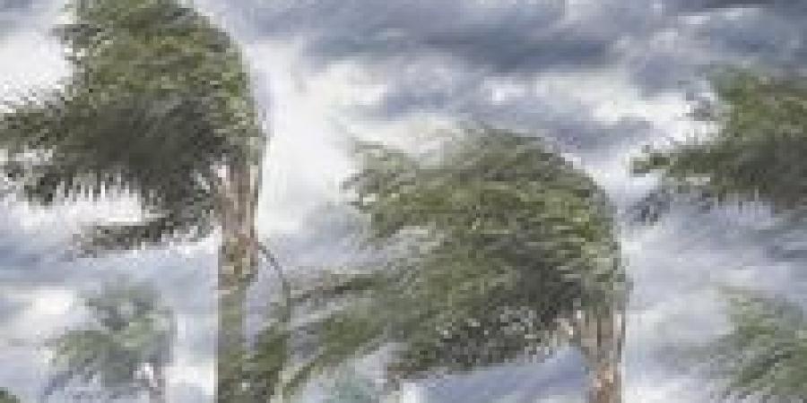 الطقس غدا.. شتاء الإسكندرية برودة قاسية ليلًا وأمطار خفيفة مع بداية الأسبوع - وضوح نيوز