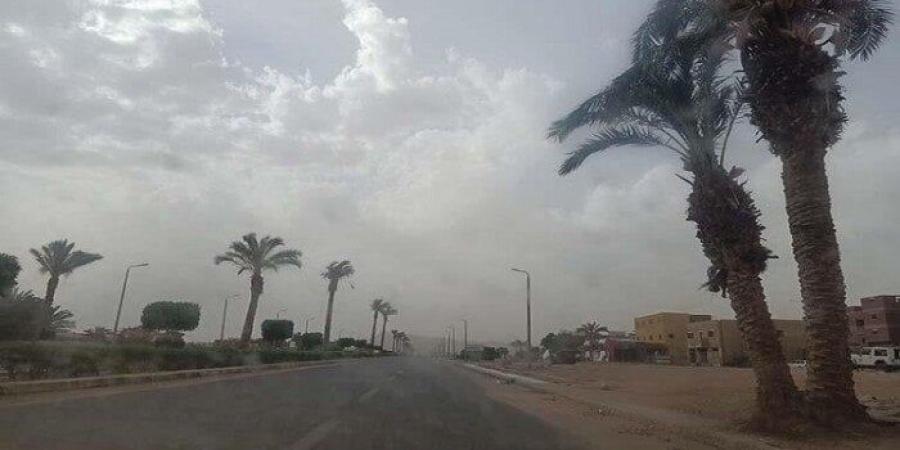 برودة وأمطار.. «الأرصاد الجوية» تكشف حالة الطقس اليوم الإثنين 22 ديسمبر 2025 - وضوح نيوز