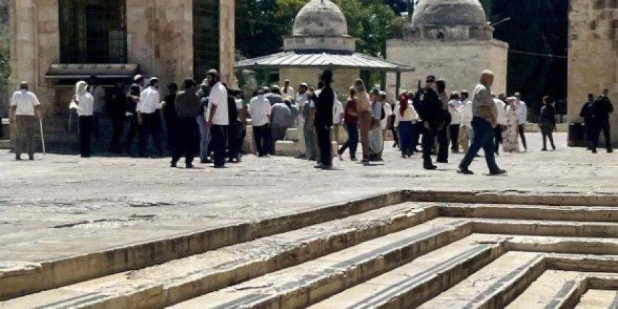 عشرات المستعمرين يقتحمون المسجد الأقصى بحماية قوات الاحتلال - وضوح نيوز