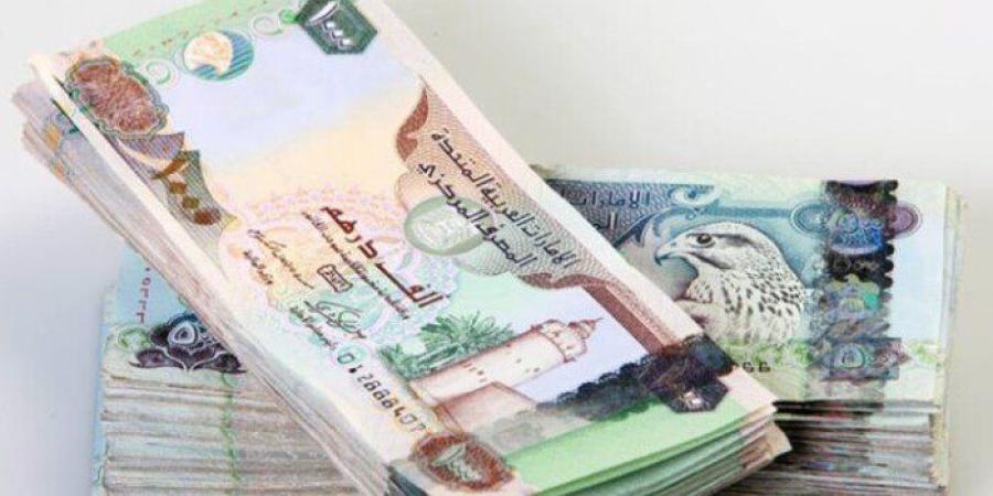 سعر الدرهم الإماراتي مقابل الجنيه المصري اليوم الإثنين 22 ديسمبر 2025 - وضوح نيوز