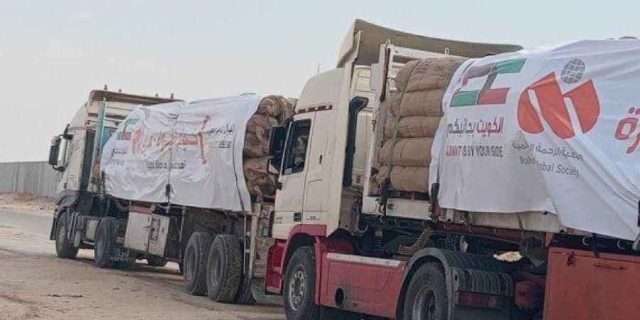 (الرحمة العالمية) تطلق المرحلة الأولى من مشروع الإيواء الطارئ في غزة بثلاثة آلاف خيمة - وضوح نيوز