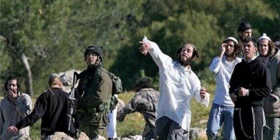 إصابة 3 فلسطينيين برصاص مستوطنين شرق بلدة عناتا في القدس المحتلة - وضوح نيوز