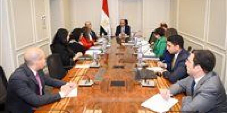 وزير الخارجية: يجب تكثيف الجهود لاسترداد الآثار المصرية من الخارج التي خرجت من البلاد بطرق غير مشروعة - وضوح نيوز