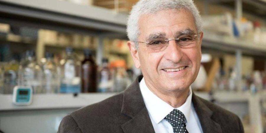 محمد بن راشد يعلن فوز الطبيب المصرى نبيل صيدح بـ«نوابغ العرب» عن فئة الطب - وضوح نيوز