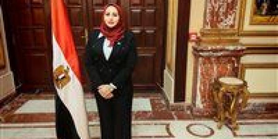 شيرين صبري: الهيئة الوطنية للانتخابات نموذج للنزاهة وحماية إرادة الناخبين - وضوح نيوز