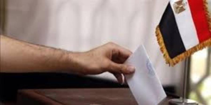 مصرى بالسعودية: إقبال متزايد للمصريين على التصويت فى جولة الإعادة بانتخابات النواب - وضوح نيوز