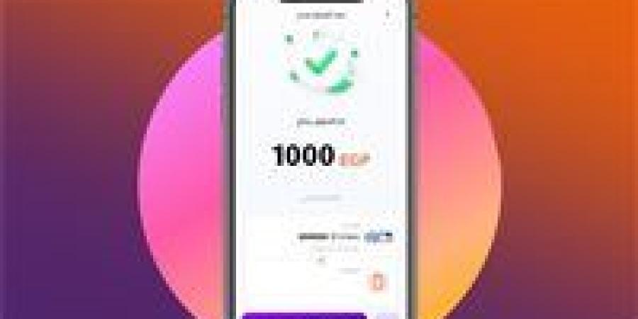 رسمياً بعد قرار المركزي.. الحد الأقصى للسحب اليومي من إنستا باي - وضوح نيوز