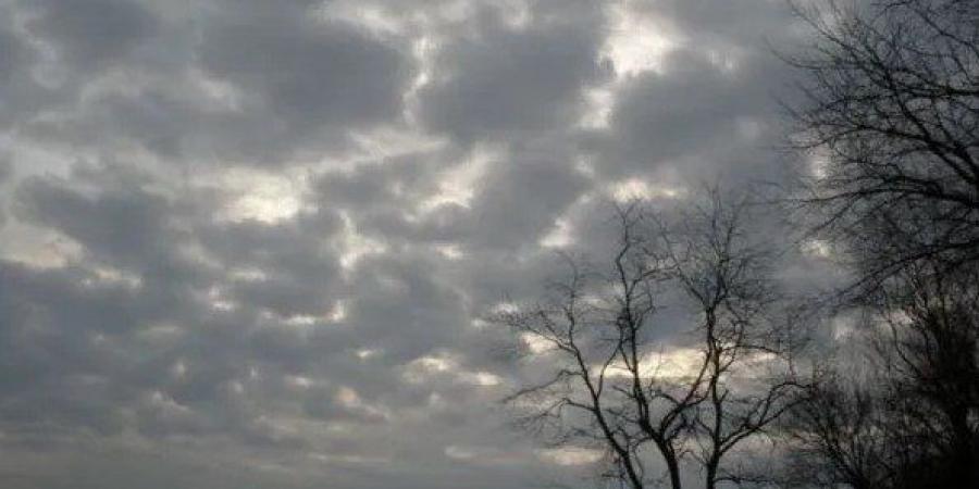 الأرصاد: الطقس غدًا مائل للدفء نهارًا شديد البرودة ليلا.. والعظمى بالقاهرة 20 - وضوح نيوز