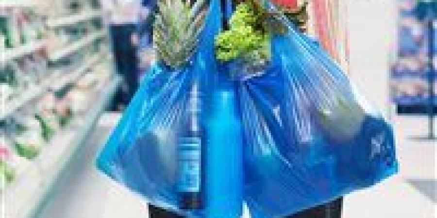 غرامات صارمة على مخالفي ضوابط الأكياس البلاستيكية في قانون إدارة المخلفات - وضوح نيوز