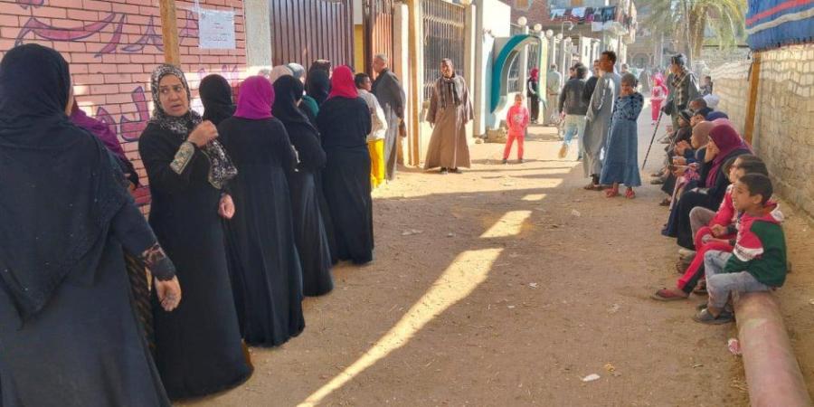 انتظام التصويت بلجنة المعصرة بمركز الفتح في أسيوط - وضوح نيوز