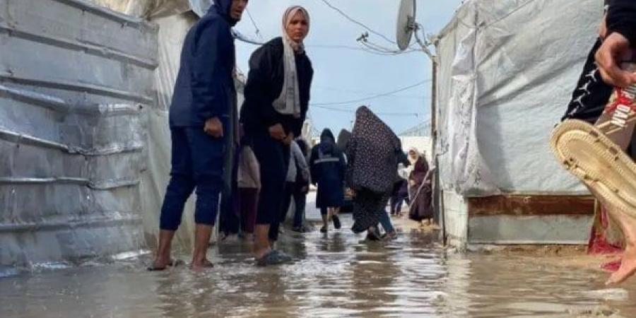 مركز بروكسل للبحوث: الاحتلال يستخدم سوء الأحوال الجوية لتهجير الفلسطينيين من غزة - وضوح نيوز