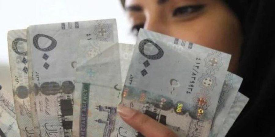 سعر الريال السعودي في مصر اليوم.. الاثنين 29 ديسمبر 2025 - وضوح نيوز