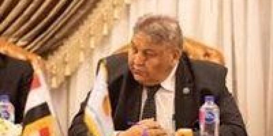 وكيل الإدارة المحلية لـ"تحيا مصر": تنظيم معارض السيارات ضرورة لإنهاء التكدس المروري - وضوح نيوز