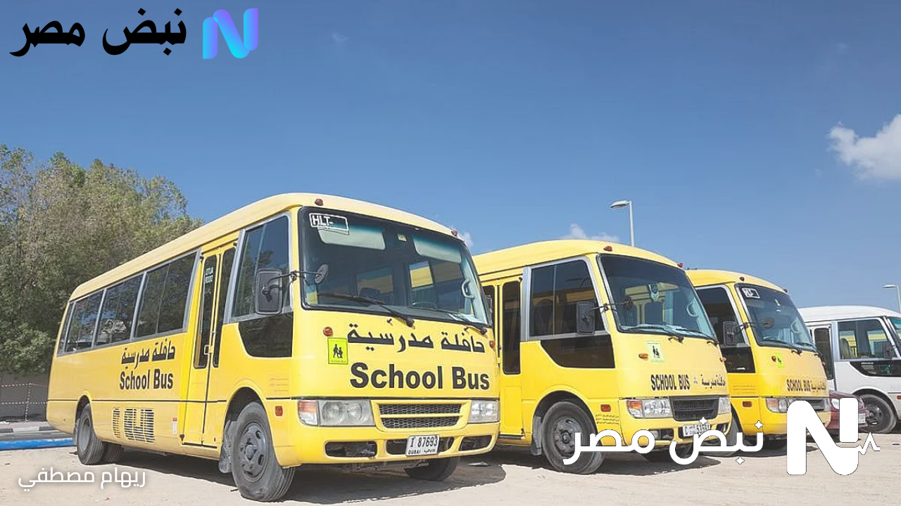 حوافز فورية.. يوم بلا حوادث في الإمارات يشجع السائقين على قيادة أكثر أمانًا