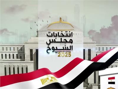 لم تصاب بأذى.. مروحة تسقط على مستشارة أثناء الإشراف على الانتخابات في المنوفية