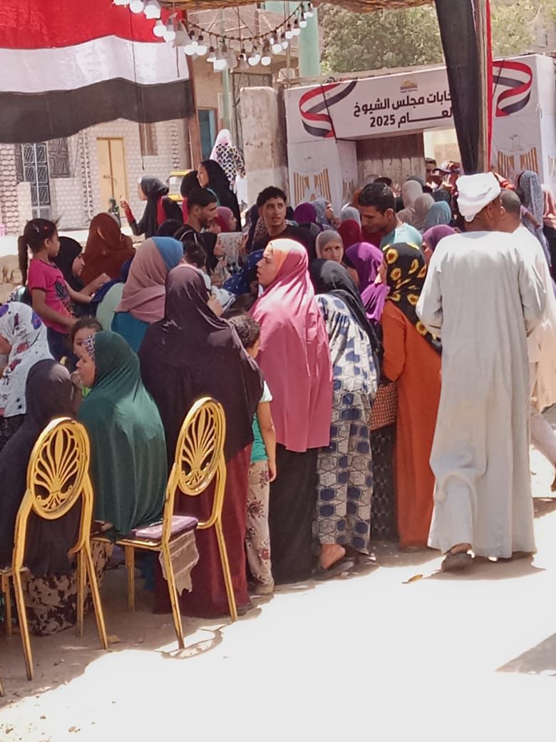 رغم وفاة والده.. رئيس لجنة انتخابية في البحيرة يرفض ترك اللجنة قبل وصول بديل