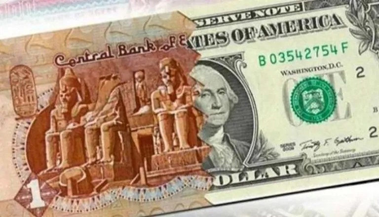 استقرار سعر الدولار أمام الجنيه المصري في بداية تعاملات اليوم الإثنين
