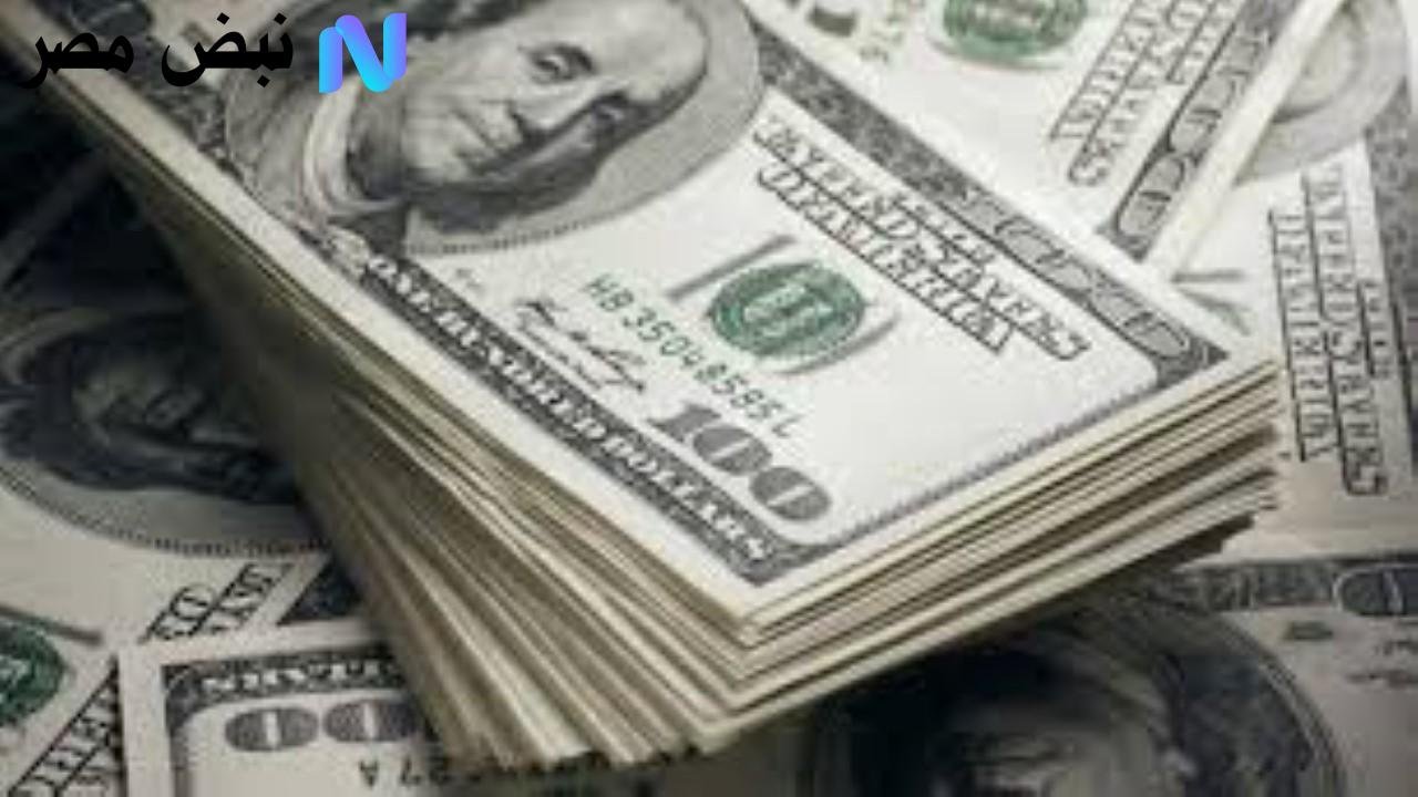 بعد التراجع الطفيف.. سعر الدولار مقابل الجنيه يواصل الاستقرار