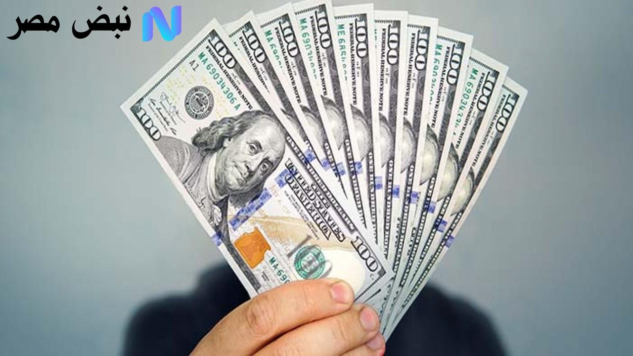 استقرار وتقلبات محدودة.. كيف تحرك سعر الدولار اليوم في البنوك المصرية؟